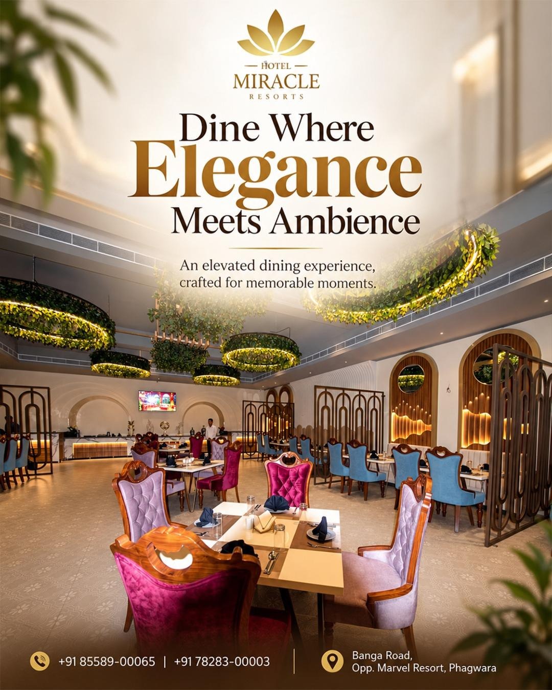 ✨ Where Elegance Meets Every Bite! ✨

Step into a dining experience where luxury, ambience, and exceptional hospitality come together. 🍽️ At Hotel Miracle Resorts, every detail is thoughtfully designed to make your dining moments truly memorable.

🌟 Elegant ambience
🍴 Exceptional dining experience
💫 Perfect for family dinners & special occasions
❤️ Moments worth remembering

📍 Banga Road, Opp. Marvel Resort, Phagwara
📞 +91 85589-00065 | +91 78283-00003

Dine in elegance. Create unforgettable moments. ✨

#HotelMiracleResorts #FineDining #LuxuryDining #ElegantAmbience #Phagwara #DiningExperience #FoodiePunjab #RestaurantVibes #MemorableMoments #LuxuryHospitality